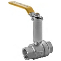 Stainless Steel AGA Approved B/V Ext Lever Handle F X F 20mm