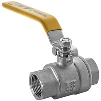 20FI Lever Handle Ball Valve Stainless Steel
