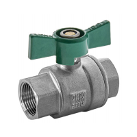 SS Ball Valve DN20 Female