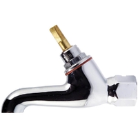 Bib Tap 45° Chrome Plated FI 15mm Without Handle