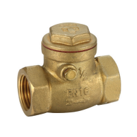 100mm Swing Check Valve Brass 