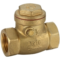 15FI Swing Check Valve Brass