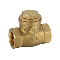 25mm Swing Check Valve Brass 