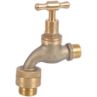 15mm MI With Vacuum Breaker Hose Taps Brass