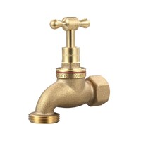 Hose Tap T Handle Rough Brass FI 20mm