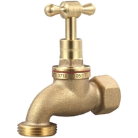 20mm Standard FI Hose Taps Brass