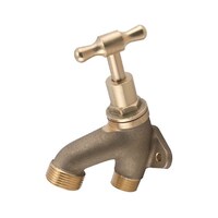 Hose Tap Back Plated T Handle Rough Brass MI 20mm