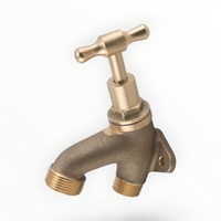 Hose Tap Back Plated T Handle Rough Brass MI 20MM LF
