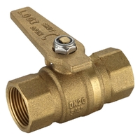 Water Service Ball Valve Long Handle FI X FI 20MM LF