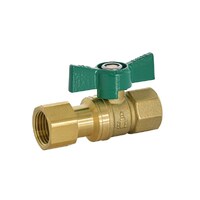 15mm Dual Isolation Non Return Ball Valv With Check Valve FI 