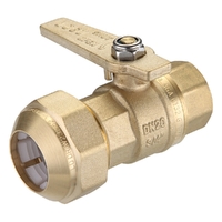WMK Ball Valve BR 20FI X 25PE LF