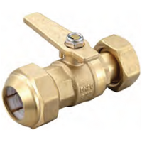 20 Swivel Nut X 25PE Ball Valve Brass 
