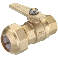 25FI X 32PE Ball Valve Brass 