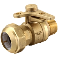 Watermarked Ball Valve Brass 25MI X 32PE Lockable