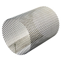 32mm Y Strainer Mesh