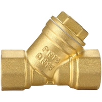  40mm Y Strainer Watermarked Brass