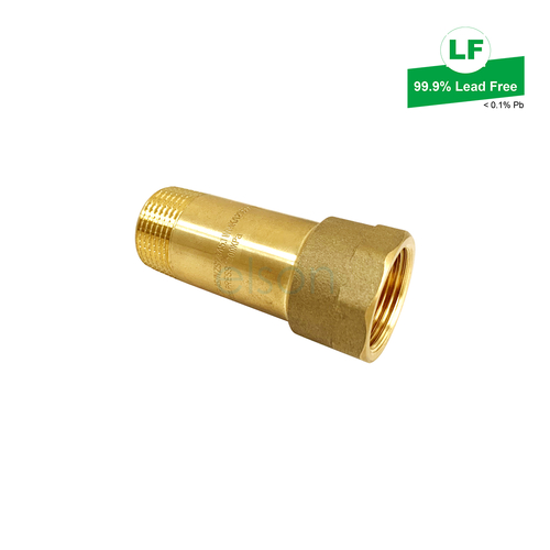 Dual Check Valve Mini DR Brass, R3/4 MI x Rp3/4 FI