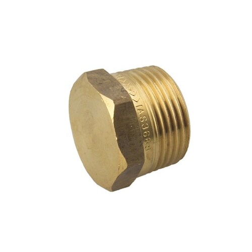 20MI Hexagon Plug Brass 
