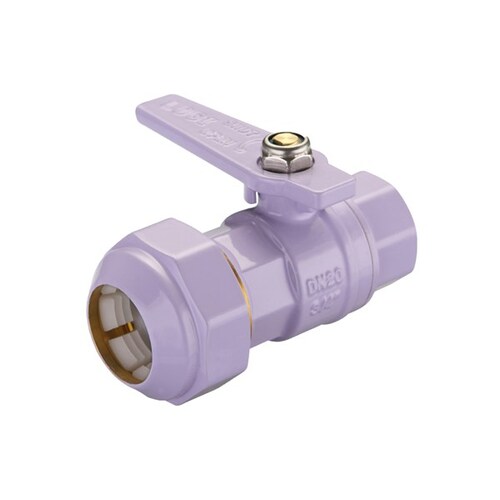 25FI X 32PE Lilac Watermarked Ball Valve Brass 
